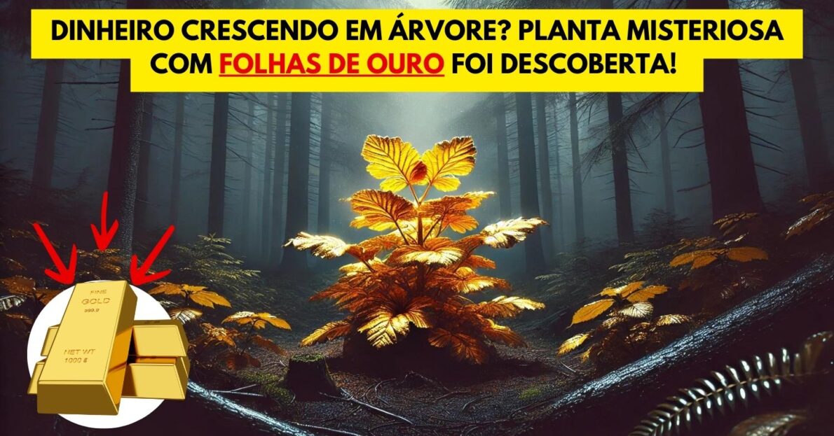 Dinheiro crescendo em árvore: Planta misteriosa com folhas de ouro foi descoberta! Fonte inesgotável de riqueza encontrada?